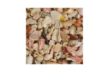 CaribSea Seaflor Aruba Puka Shell Fine 19,96 kg Sand