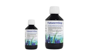 Korallenzucht Flatworm Stop - against Acropora Flatworms, Strenghtens all Types of Corals