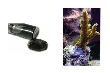 Fauna Marin Coral Kit BLACK 114 g