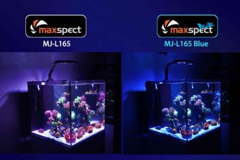 Maxspect Jump LED 65W