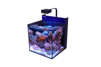 Red Sea MAX NANO Cube (nur Aquarium)