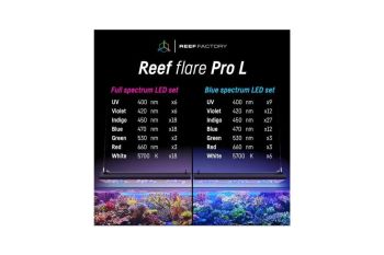 Reef Factory Reef Flare Pro S White