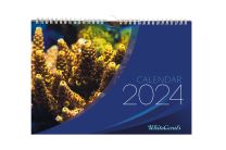 Whitecorals Kalender 2024