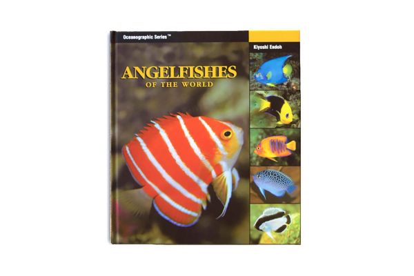 Angel Fishes of the World