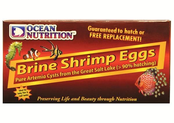 Ocean Nutrition Artemia/Salzwasserkrebs Eier 50 gr