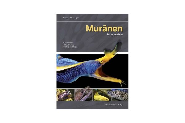 Moray eels in the aquarium - Marco Lichtenberger (Language: german)