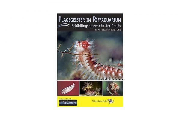 Plagegeister im Riffaquarium - Rüdiger Latka