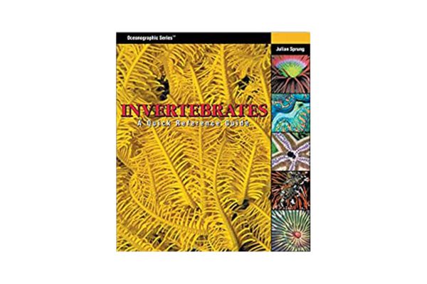 Invertebrates: A Quick Reference Guide