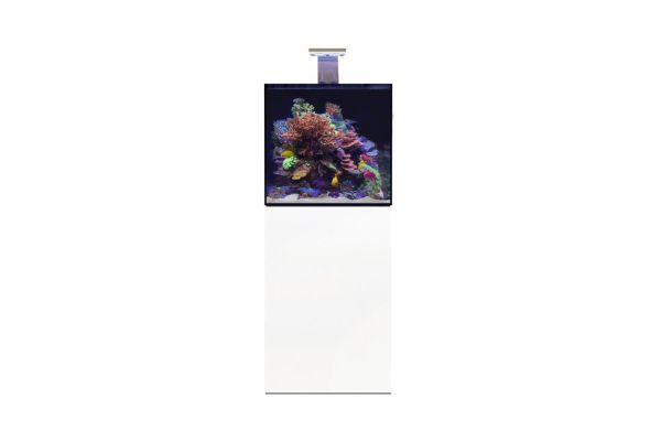 D-D Aqua-Pro Reef 600 Cube White Gloss
