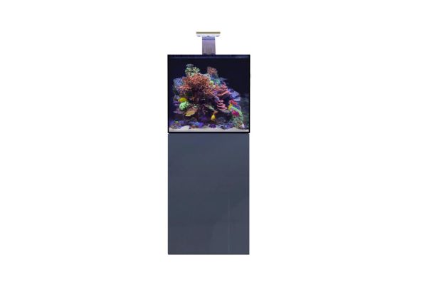 D-D Aqua-Pro Reef 600 Cube Anthracite Gloss