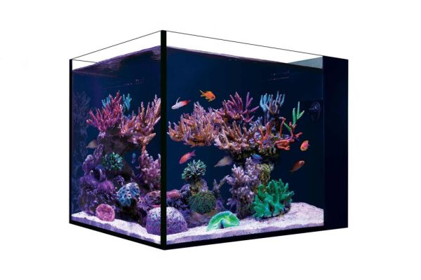Red Sea Desktop Peninsula (nur Aquarium)