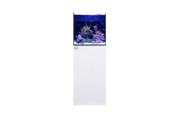 Red Sea Desktop Cube (Aquarium mit Unterschrank) Weiß