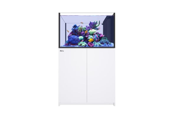 Red Sea Reefer Peninsula 350 System - white