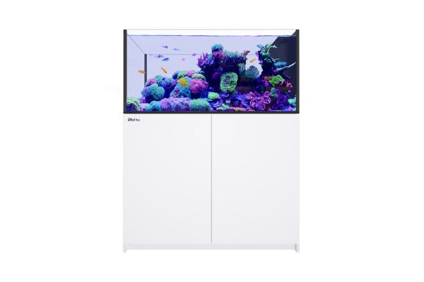 Red Sea Reefer 500 System Peninsula Deluxe G2+ - schwarz