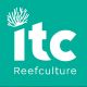 Hersteller: ITC Reef Culture 