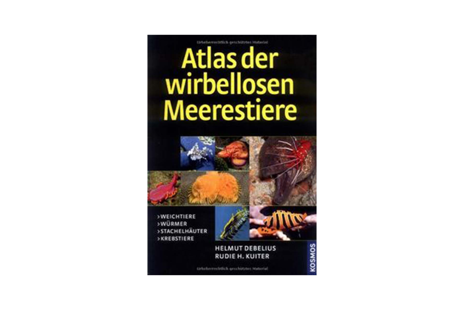 Atlas der wirbellosen Meerestiere - Kuiter & Debelius