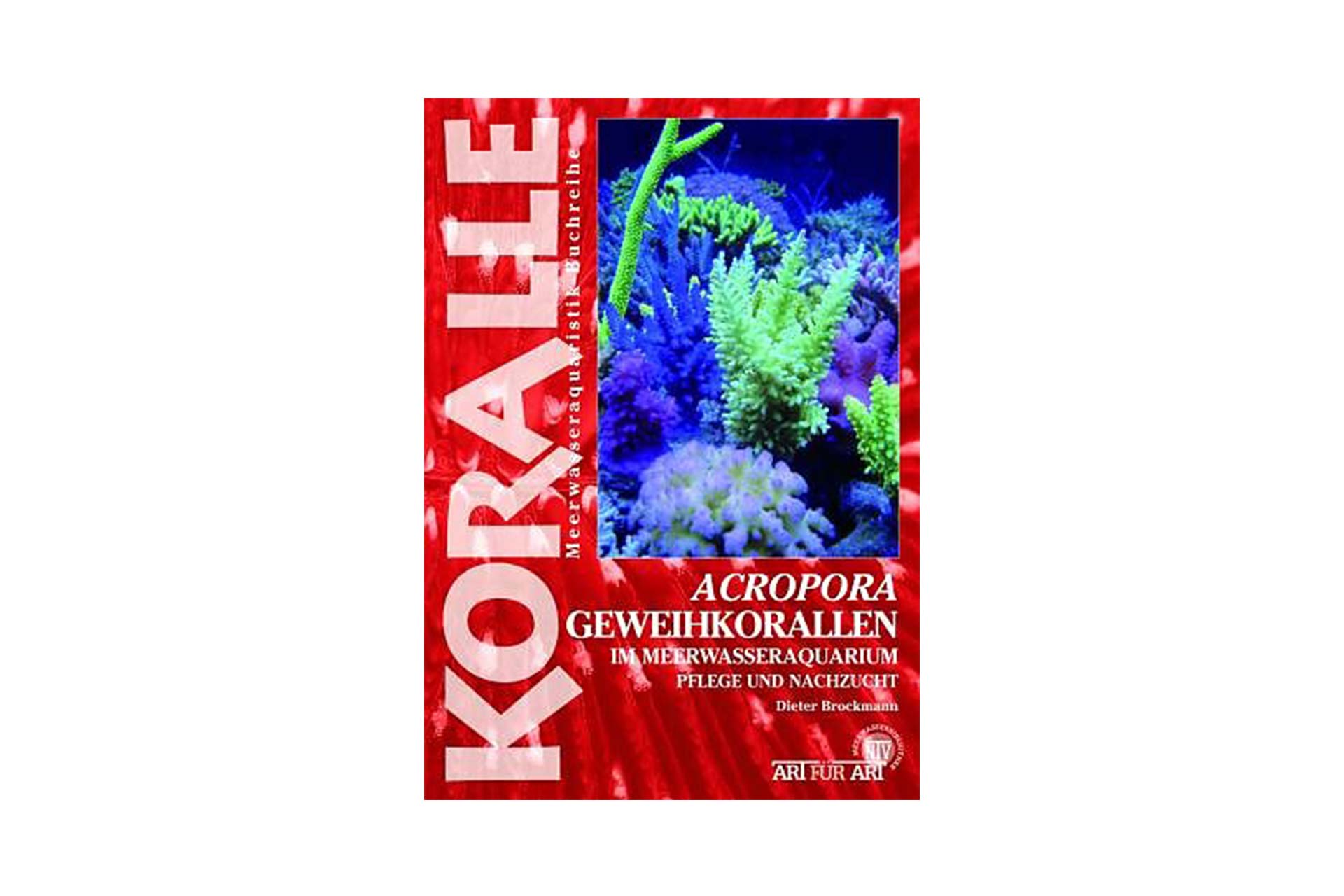 KORALLE - Acropora Geweihkorallen im Meerwasseraquarium - Dieter Brockmann